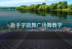 新手学跳舞广场舞教学