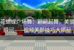花蝴蝶广场舞：翩翩起舞，美丽瞬间——视频美颜技巧大揭秘