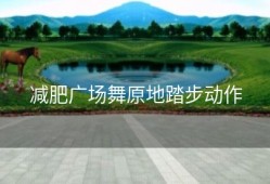 减肥广场舞原地踏步动作