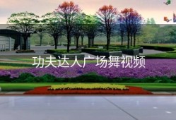 功夫达人广场舞视频