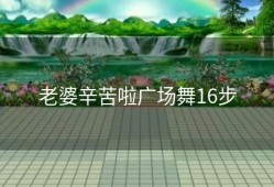 老婆辛苦啦广场舞16步