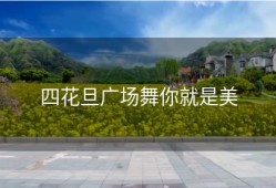 四花旦广场舞你就是美