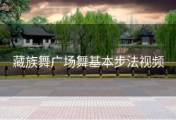 藏族舞广场舞基本步法视频