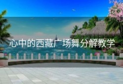 心中的西藏广场舞分解教学