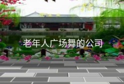 老年人广场舞的公司