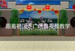 跟着祖国走广场舞视频教学