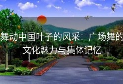 舞动中国叶子的风采：广场舞的文化魅力与集体记忆