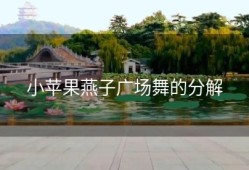 小苹果燕子广场舞的分解