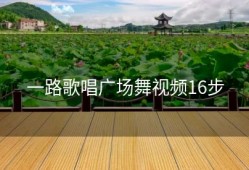一路歌唱广场舞视频16步
