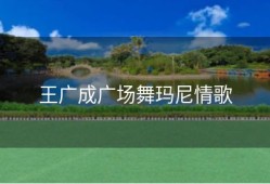 王广成广场舞玛尼情歌