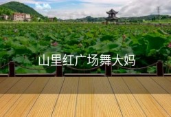 山里红广场舞大妈