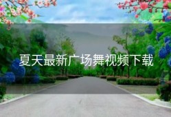 夏天最新广场舞视频下载