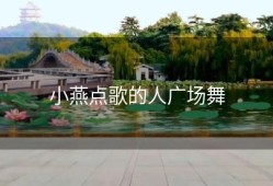 小燕点歌的人广场舞