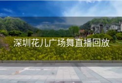 深圳花儿广场舞直播回放