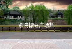 紫院糖豆广场舞