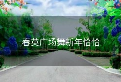 春英广场舞新年恰恰