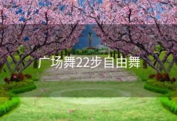 广场舞22步自由舞