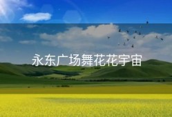 永东广场舞花花宇宙