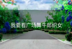 我要看广场舞牛郎织女