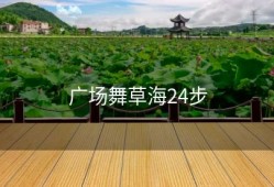 广场舞草海24步