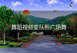 舞蹈视频变队形广场舞