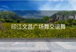 印江文昌广场舞交谊舞