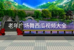 老年广场舞西瓜视频大全