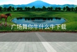 广场舞你牛什么牛下载