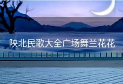 陕北民歌大全广场舞兰花花
