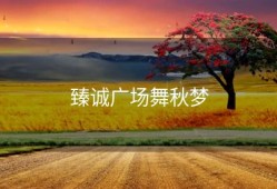 臻诚广场舞秋梦