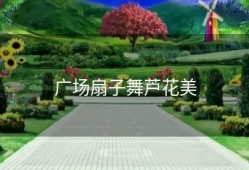 广场扇子舞芦花美