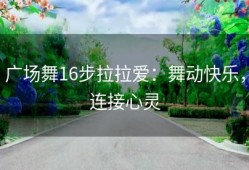 广场舞16步拉拉爱：舞动快乐，连接心灵