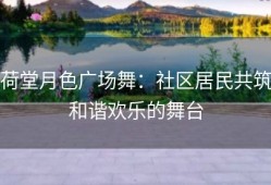 荷堂月色广场舞：社区居民共筑和谐欢乐的舞台