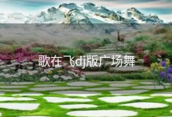 歌在飞dj版广场舞