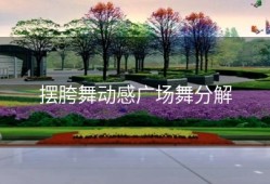摆胯舞动感广场舞分解