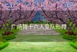 广场舞十六人变队形舞