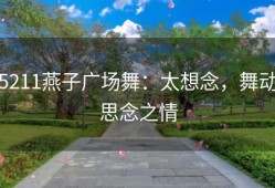 5211燕子广场舞：太想念，舞动思念之情