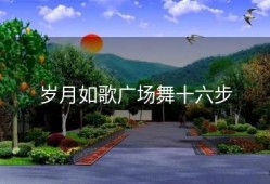 岁月如歌广场舞十六步