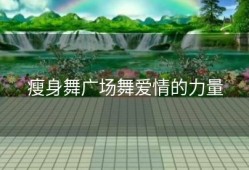 瘦身舞广场舞爱情的力量