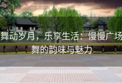 舞动岁月，乐享生活：慢慢广场舞的韵味与魅力