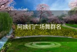 阿姨们广场舞群名