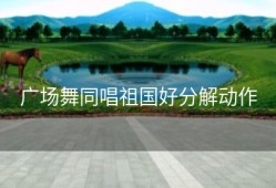 广场舞同唱祖国好分解动作