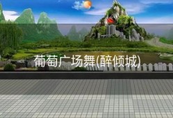 葡萄广场舞(醉倾城)
