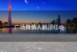 广场舞情人鹤顶红dj