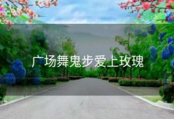 广场舞鬼步爱上玫瑰