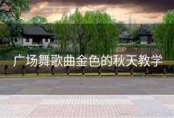 广场舞歌曲金色的秋天教学