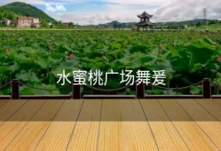 水蜜桃广场舞爰