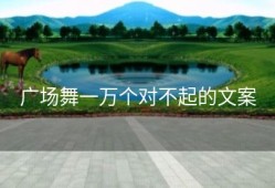 广场舞一万个对不起的文案