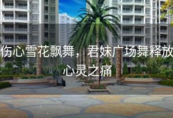 伤心雪花飘舞，君妹广场舞释放心灵之痛