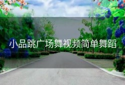 小品跳广场舞视频简单舞蹈